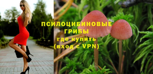 спиды Гусев